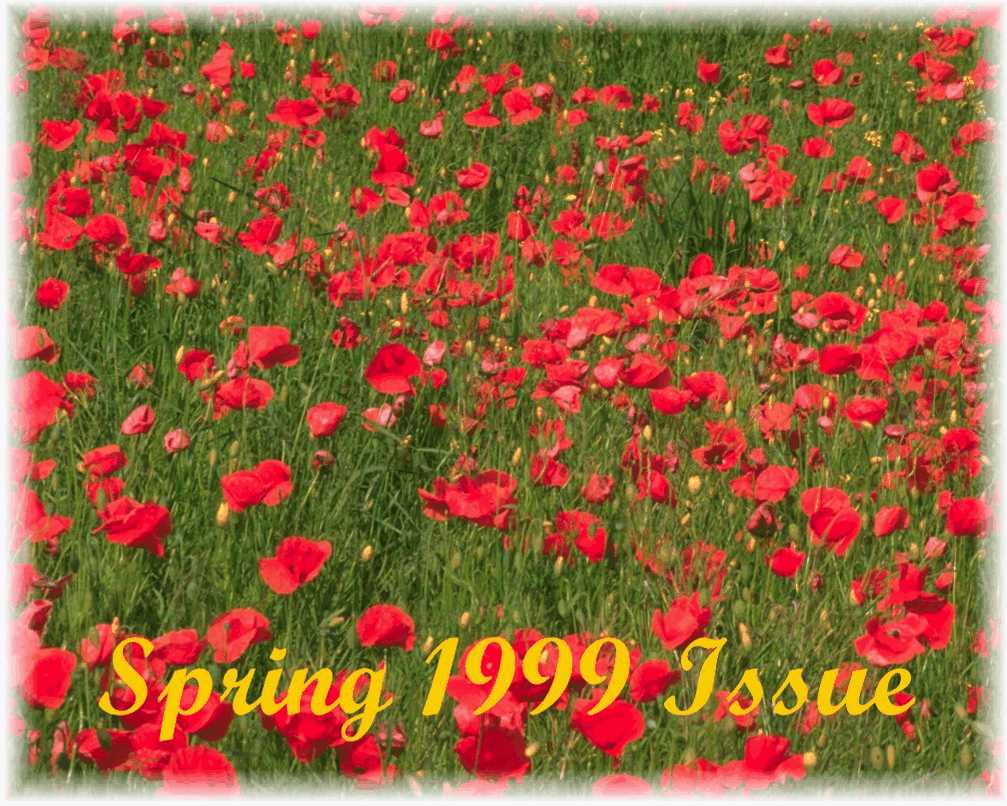 spring 1999 Issue
