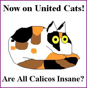 animated calico