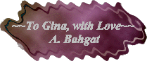 ~~To Gina, with Love~~  A. Bahgat