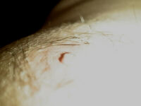 I won't tell you what this is.