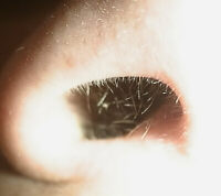 Everyone loves the hair.