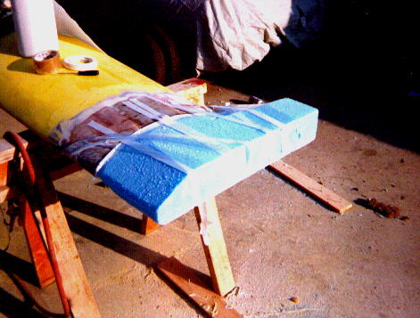 WINGTIP7.JPG (38730 bytes)