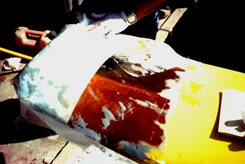 WNGTIP10.JPG (29297 bytes)