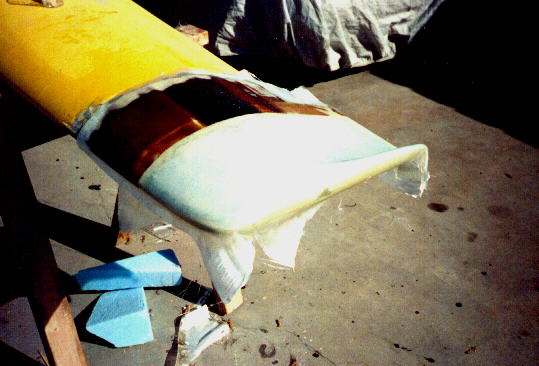 WNGTIP11.JPG (37150 bytes)