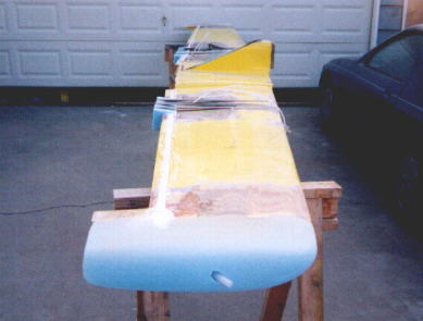 WINGTIP5.JPG (15711 bytes)
