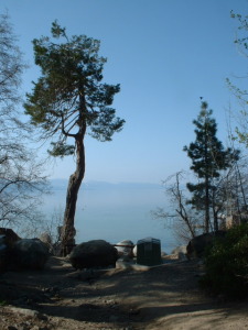 The path to the beach