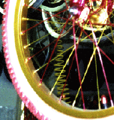 Gold and Red Spokes