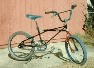 1980 SE Racing Quad Angle