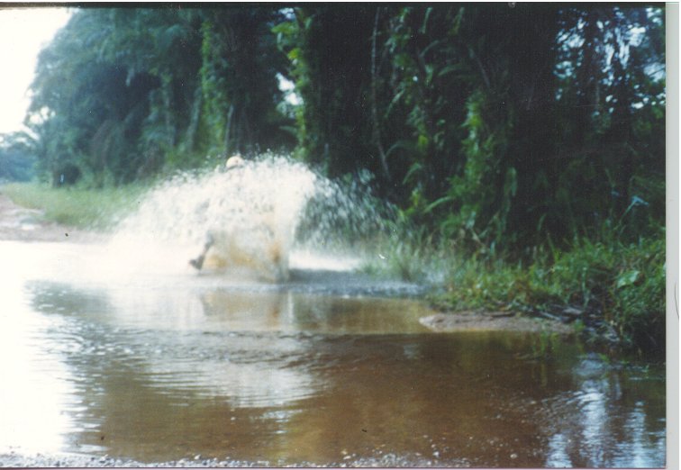 Edge02.jpg (72038 bytes)