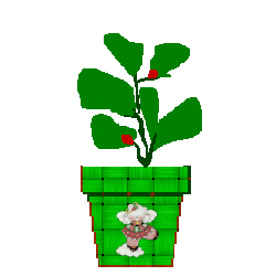 The Site Fights Spirit Flowers