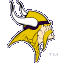 Minnesota Vikings