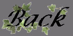 Back Button