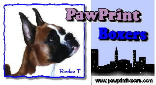 An idea I had for a business card once. PawPrint Boxers featuring Booker T.