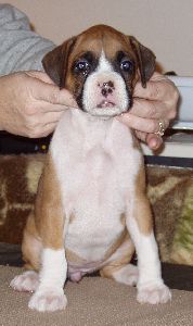 Brandi 6 weeks old 2/12/06