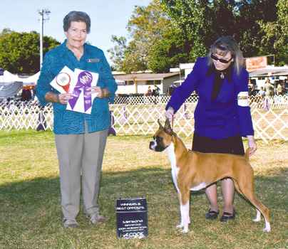 Brandi 18 months old - Winners Bitch for 1 point from Bred-By Exhibitor class