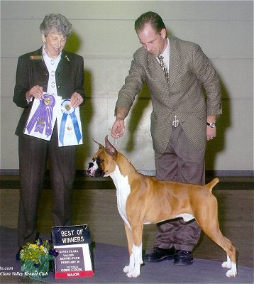Copper wins his 3rd Major win at just 11 months old - 2/24/02. I am so proud of this handsome boy.