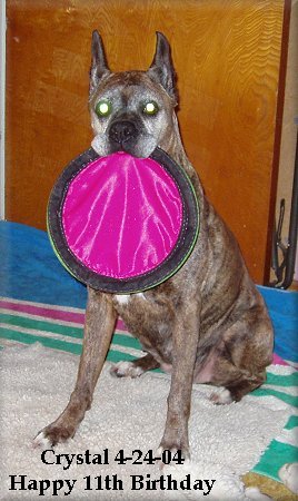 Crystal turns 11 years old!