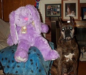  Booker T wishes everyone a peaceful Easter