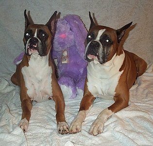  Booker T wishes everyone a peaceful Easter