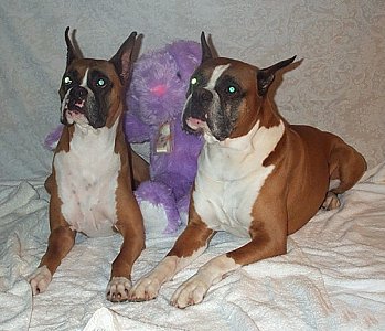  Booker T wishes everyone a peaceful Easter