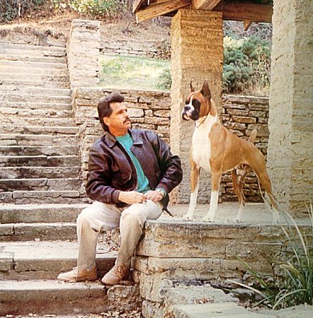 This is Booker T's grandfather. Jet Breaker was one of the top winning Boxers in our breed as well as a top producer. He is much prized in any pedigree.