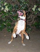 I'm going to get you!