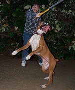 How high can you go?