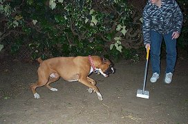 Penny says I am tired!