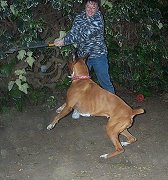 Penny is stalking her prey