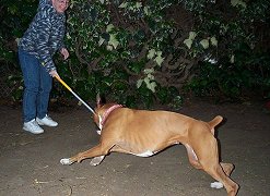 I'm going to get you!