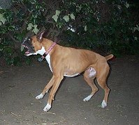 I'm going to get you!