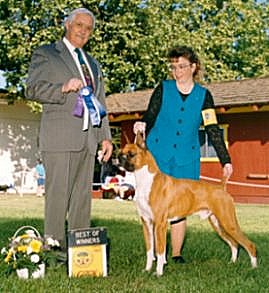 Rocky wins Best of Winners at the Mensona Kennel Club. Owner-handled by his breeder, Christina Ghimenti