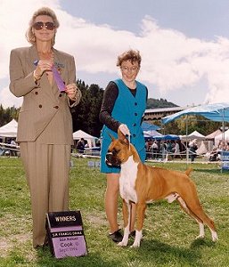 Rocky wins Best of Winners at the Sir Francis Drake Kennel Club. Owner-handled by his breeder, Christina Ghimenti