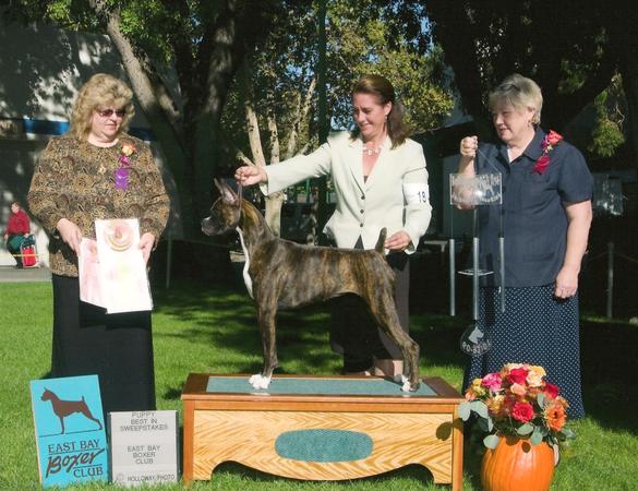 Ruby wins Best Puppy in Sweepstakes at 6 months old