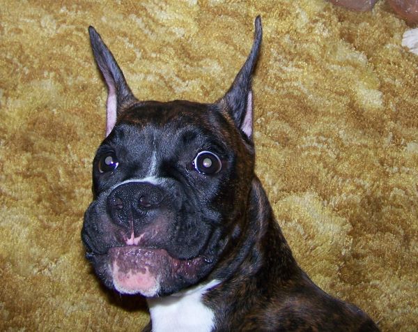 Ruby shows her crazy face 6-27-10