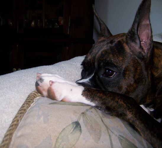 Ruby shows her crazy face 6-27-10