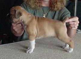 Cinnamon I've Been Seduced = SAMSON =