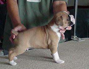 Cinnamon I've Been Seduced = SAMSON =