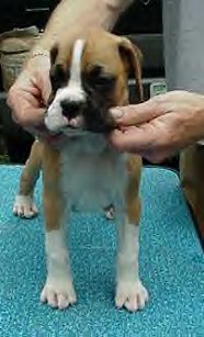 Cinnamon I've Been Seduced = SAMSON =