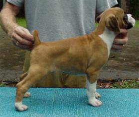 Cinnamon I've Been Seduced = SAMSON =