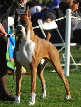 Toby winning his finishing Major in Palm Springs on January 9, 2011