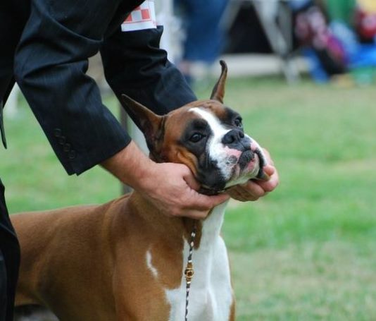 Toby taking a Major Reserve in Ventura on July 10, 2010