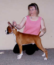 Toby 15 weeks old 9/14/07