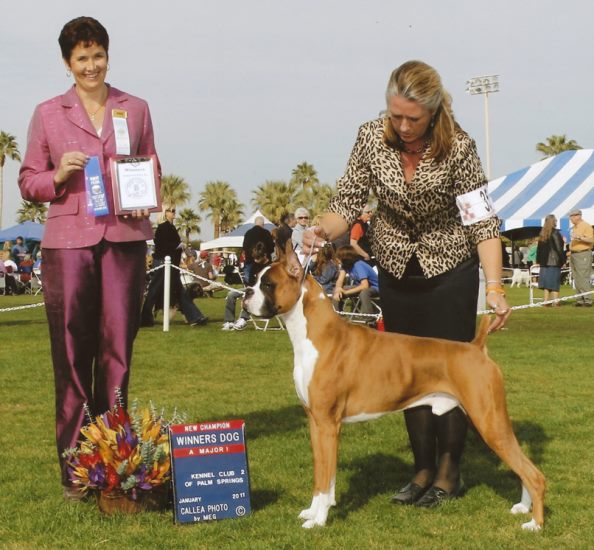 Toby wins his final Major win in Palm Springs on 1-09-11. I am in love with this handsome boy.
