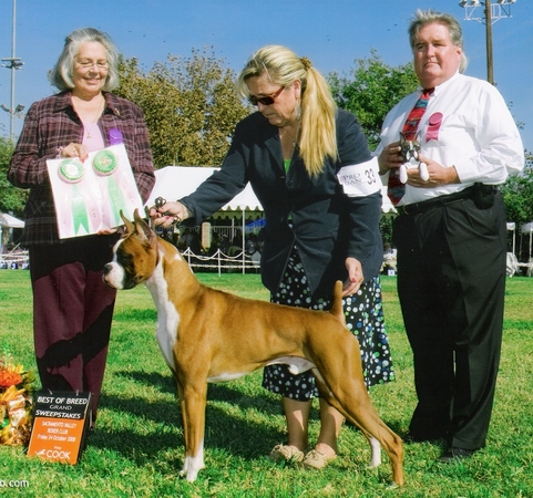 Toby wins Grand Sweepstakes at 16 months old 10-24-08. I am in love with this handsome boy.
