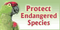 Protect Endangered Species