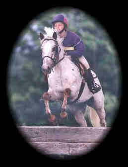 Pony of Americas history