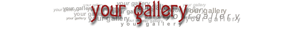 Your Gallery