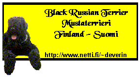 Black Russian Terrier