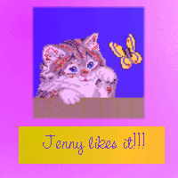 jenny likes it award